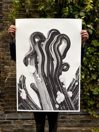 Adaptation II, from Verme exhibition.