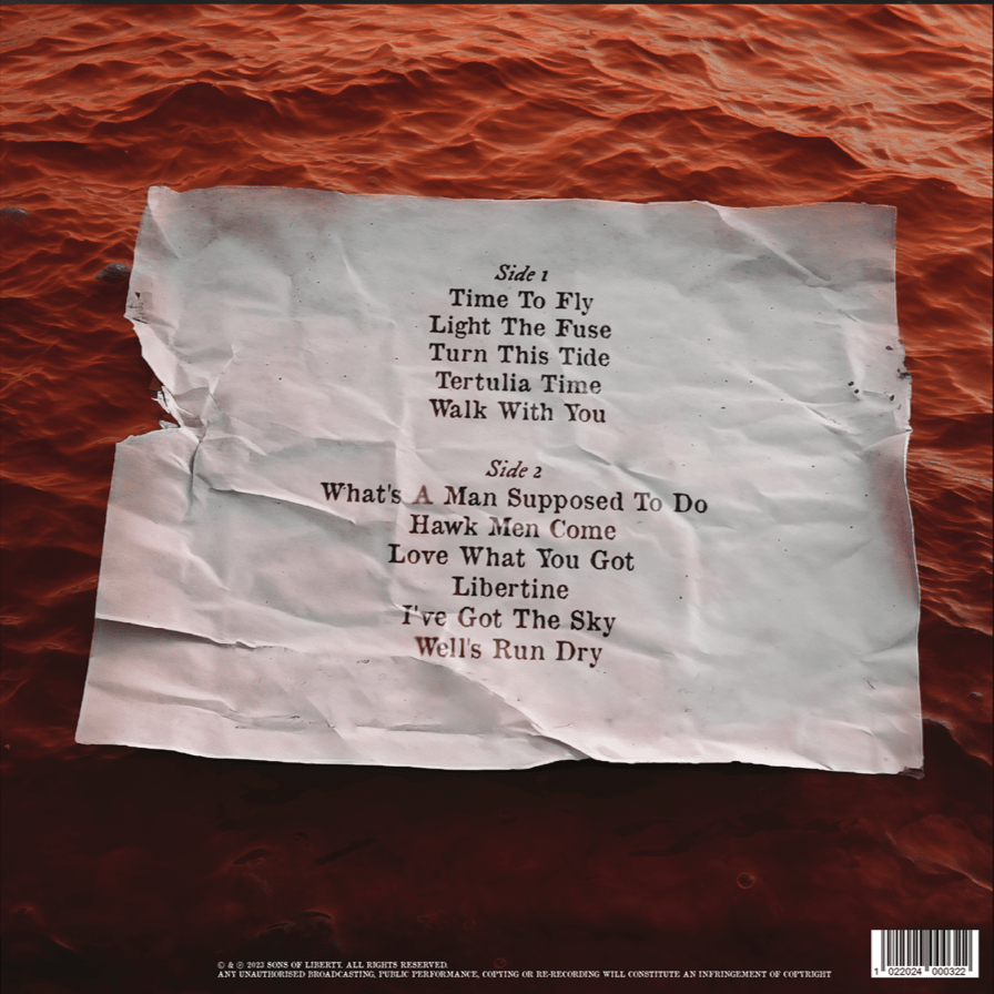 Image of Pre Order: Vinyl Album - The Detail Is In The Devil