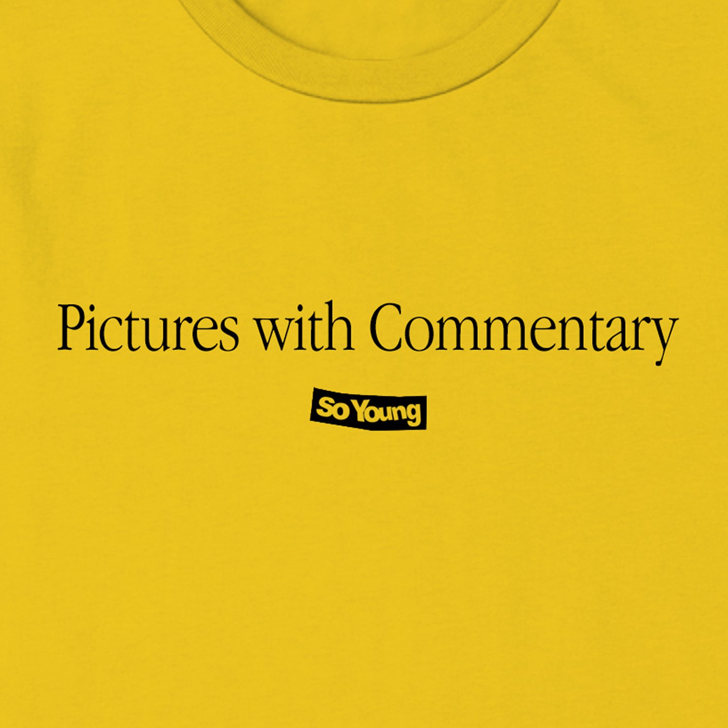 Image of Pictures with Commentary