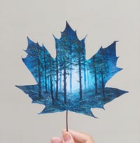 Image 4 of Deep in the woods (Framed)