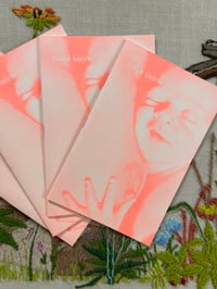 knock knock zine 