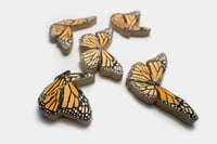 Image 2 of Set of 5 Migrating Monarchs