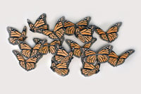 Image 3 of Set of 5 Migrating Monarchs