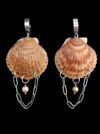 Scallop Earrings with Pearl and Chain 