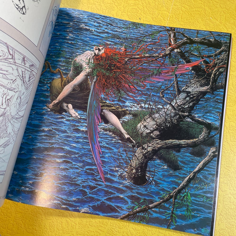 THE STUDIO: Jeffrey Jones Michael Kaluta Bernie Wrightson Dragon's Dream 1979 1st ed. Fantasy Art