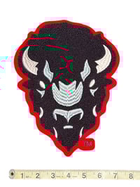 Image 1 of Howard - Big Beauriful Chenille Patch