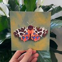 Image 4 of Moth Art Prints