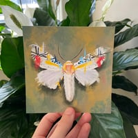 Image 2 of Moth Art Prints