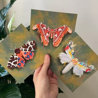 Image 5 of Moth Art Prints