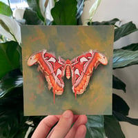 Image 3 of Moth Art Prints