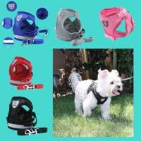 Pet Harness with Reflective Piping Vest Plus Leash for Dogs and Cats