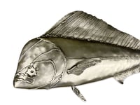 Image 1 of Mahi-mahi - Dolphin Fish