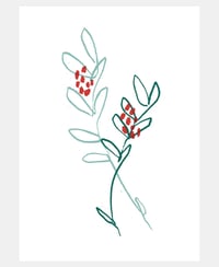 Image 3 of WINTER FOLIAGE PACK