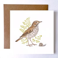 Image 1 of SONG THRUSH BLANK CARD