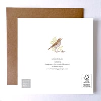 Image 2 of SONG THRUSH BLANK CARD