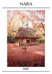 Image 4 of Poster of Japan - Nara