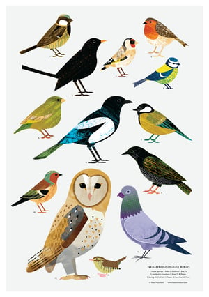 Image of British Garden Birds Poster