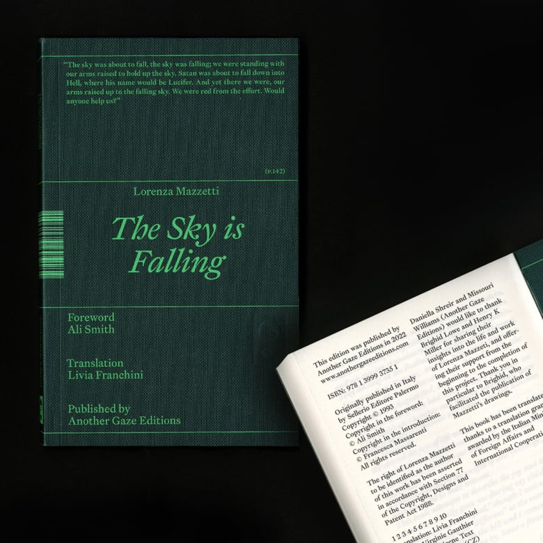 Image of The Sky is Falling by Lorenza Mazzetti