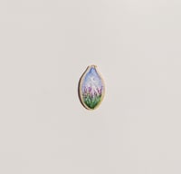 Image 2 of Lavender fields