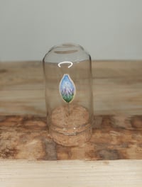 Image 1 of Lavender fields