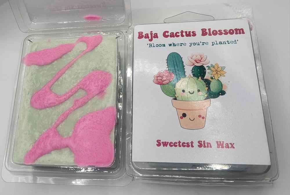 Image of Baja Cactus Blossom
