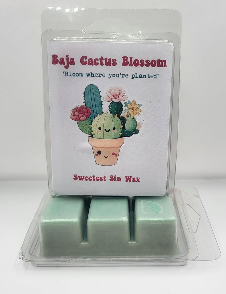 Image of Baja Cactus Blossom 