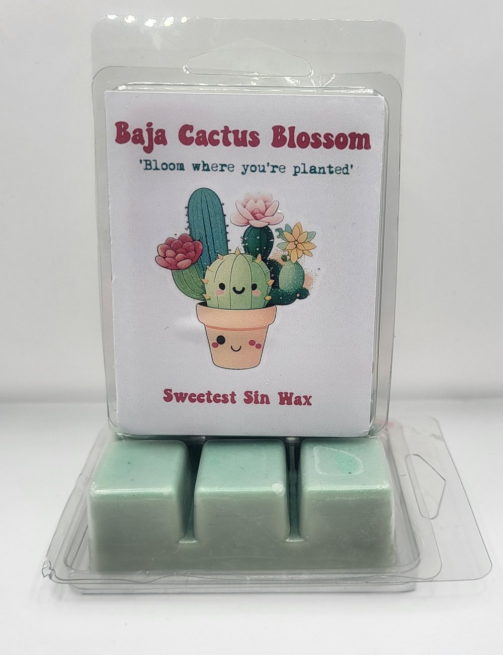 Image of Baja Cactus Blossom 