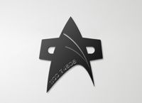 Image 1 of Star Trek Voyager, Metal Wall Art