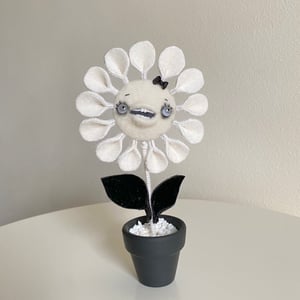 Image of Gothy Singing Flower in White