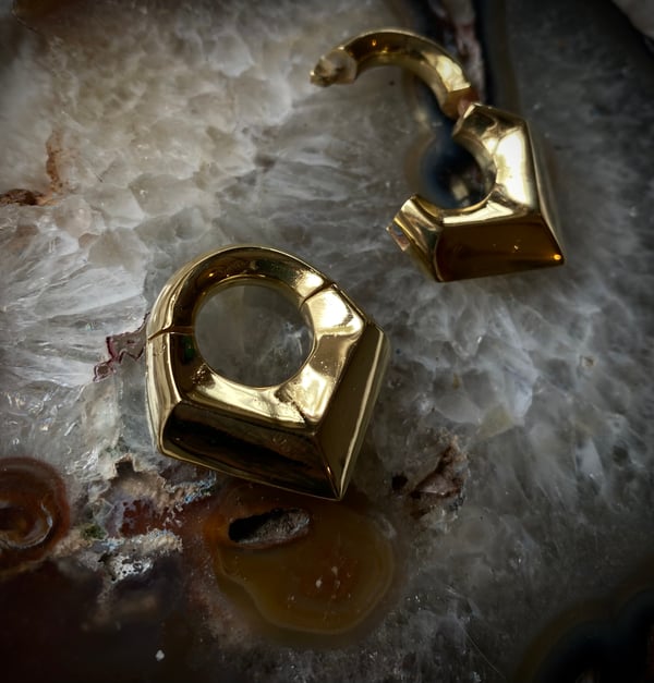 Image of Limited brass ear weights