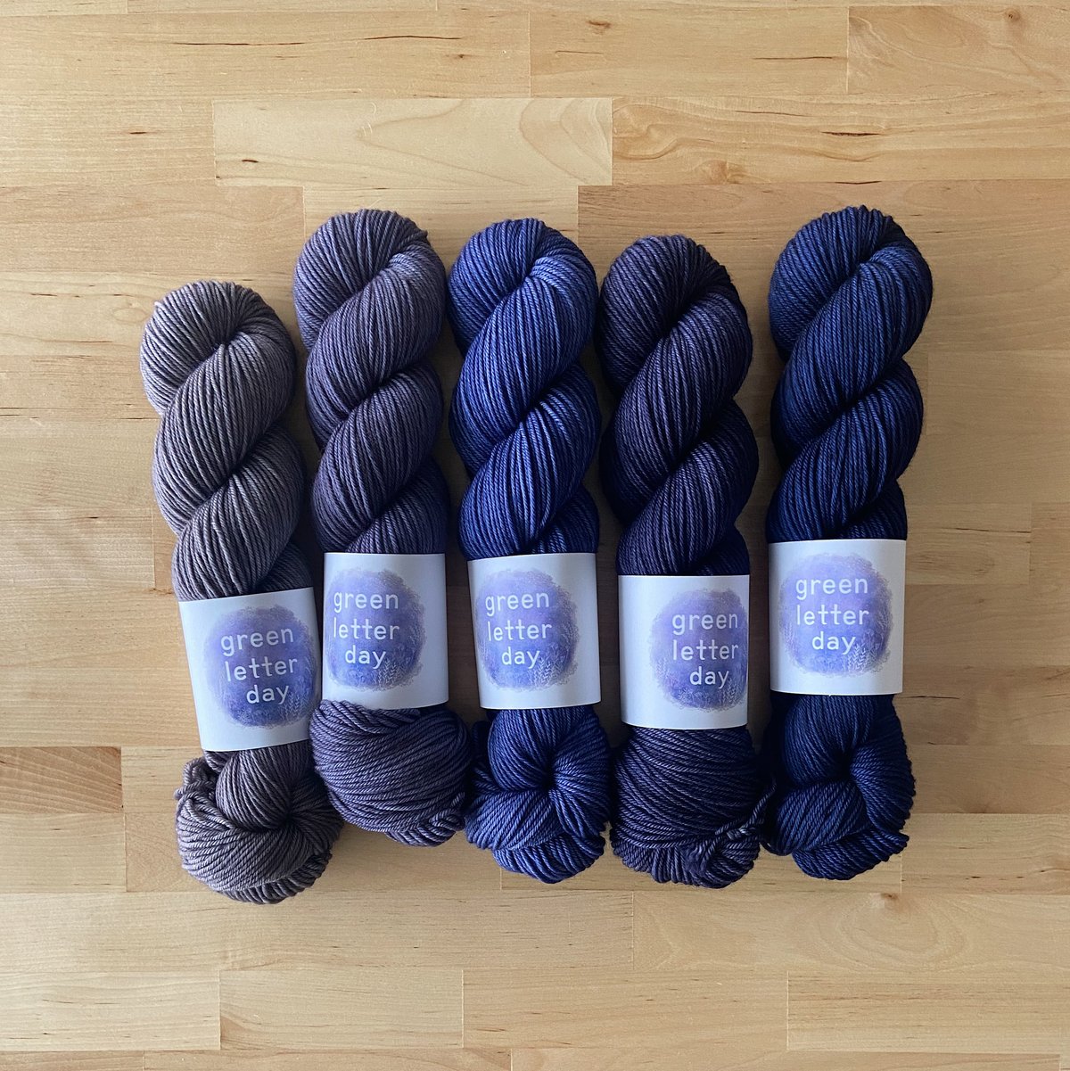 Daggertail (PREORDER 6-7 WEEKS)