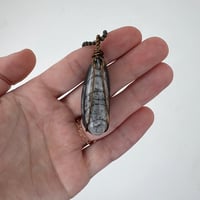 Image 2 of Hand Wrapped Orthoceras
