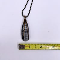 Image 4 of Hand Wrapped Orthoceras
