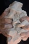 Image of ALABASTER.