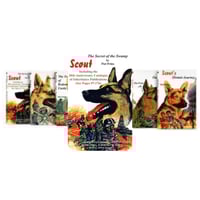 Image 1 of SCOUT Books 1-7 By Piet Prins