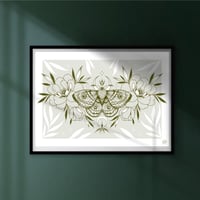 Image 1 of Floral moth print 