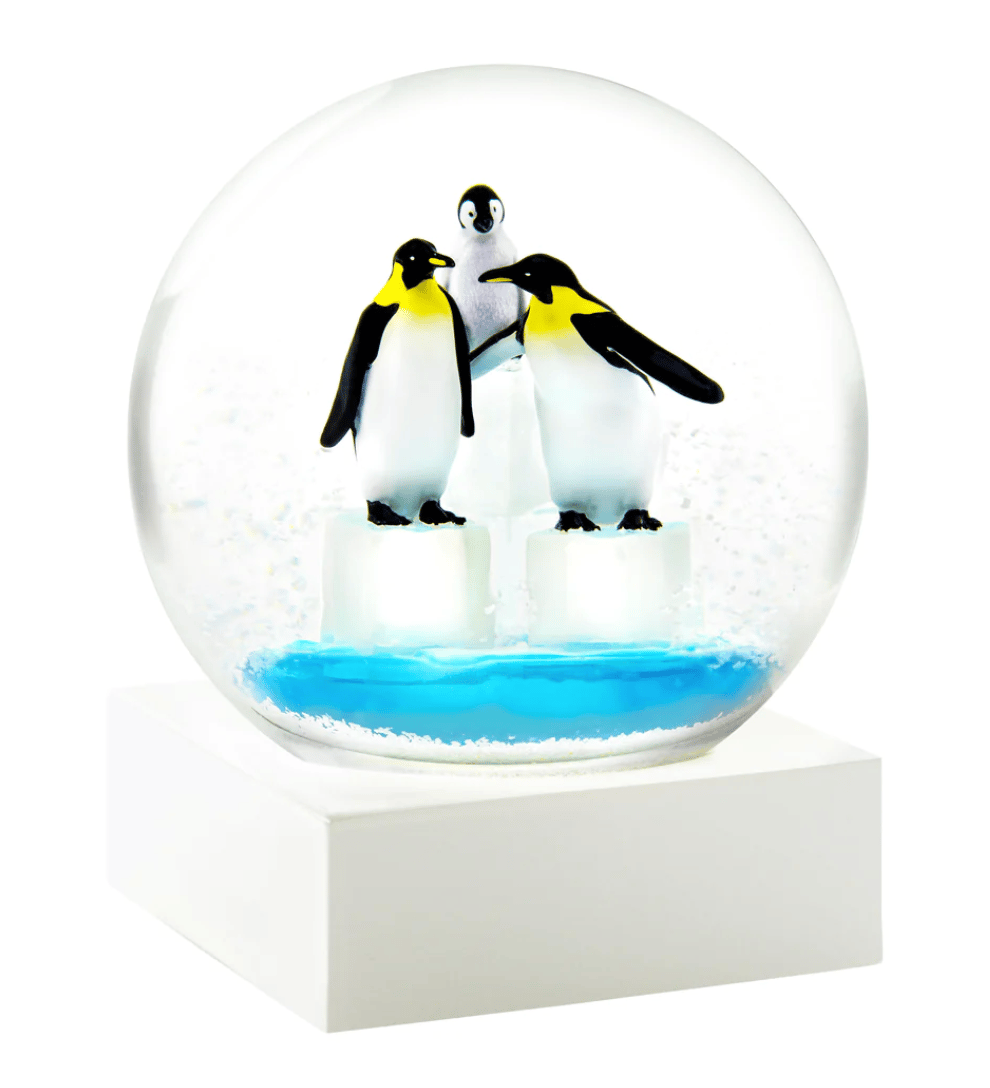 Image of Snow Globes! (5 Kinds)