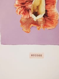 Image 3 of Mycose