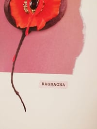 Image 3 of Ragnagna