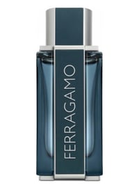 FERRAGAMO INTENSE LEATHER (TYPE)
