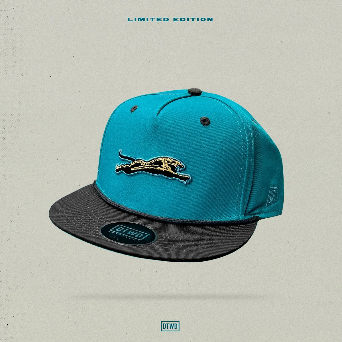 Image of  The Leap - Teal and Black - 5 panel rope