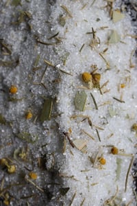 Image 1 of 8 oz large Backcountry Bath Soak | Woody Blend | Handmade | Small batch