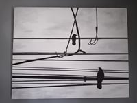 Image 1 of Birds on Wires Original 