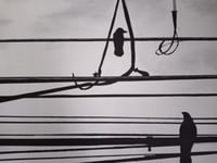 Image 2 of Birds on Wires Original 