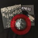Image of BLEAKNESS - Words 7"
