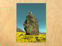 Image of Big Ole Alpaca Rock