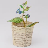 Image 2 of Jennifer Collier: Everlasting Plants in Paper Pots and Paper Watering Cans 