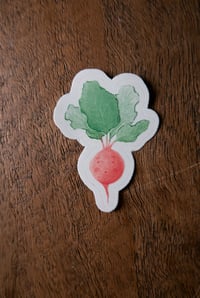 Image 3 of Radish clear vinyl sticker