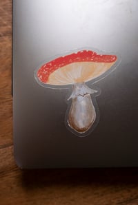 Image 2 of Amanita clear vinyl sticker