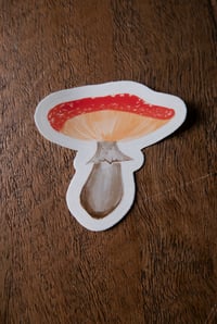 Image 3 of Amanita clear vinyl sticker